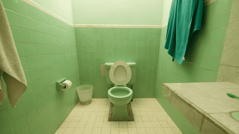 bathroom remodeling basics